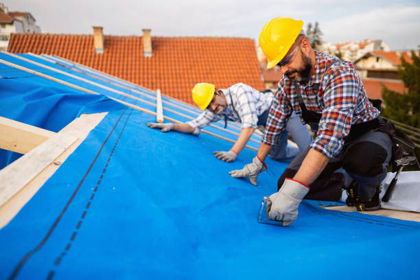 Best Gutter Installation and Roofing  in Cliffside Park, NJ