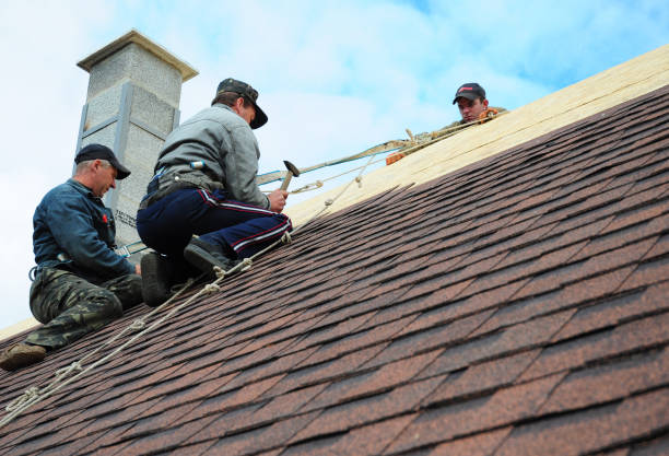 Best Shingle Roofing Installation  in Cliffside Park, NJ